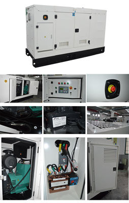 6.25 KVA Gerador Silencioso com Disjuntor Delixi e 8 Horas de Autonomia com Carga Total para Fornecimento de Energia Silencioso